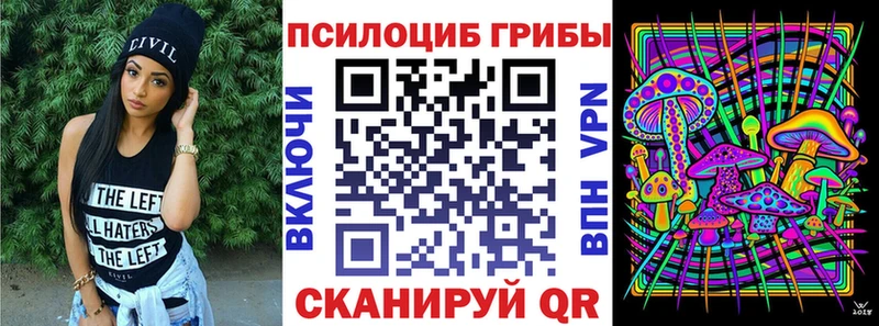 Купить закладки  Волгодонск  Галлюциногенные грибы мухоморы 
