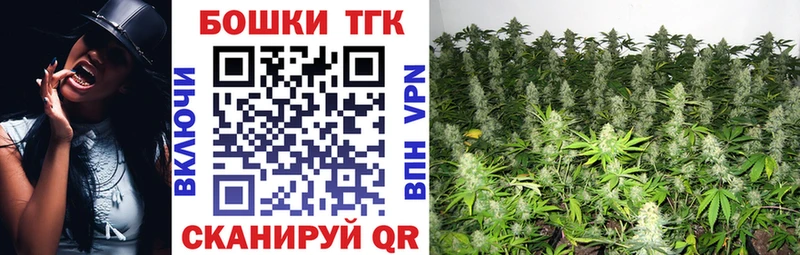 Конопля индика  Купить закладки  Волгодонск